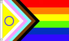 2ft by 3ft Intersex Progress Pride Flag