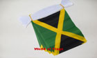 Jamaica Bunting 3m