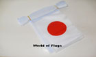 Japan Bunting 3m World Cup Team
