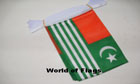 Kashmir Bunting 9m