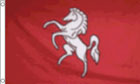 Kent Flag