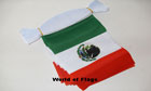 Mexico Bunting 9m World Cup Team