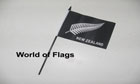 New Zealand Silver Fern Hand Flag