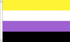 2ft by 3ft Non Binary Flag