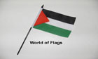 Palestine Hand Flag