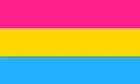 2ft by 3ft Pansexual Flag