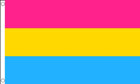 Pansexual Flag