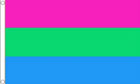 Polysexual Flag