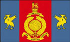 Royal Marines Reserves Merseyside Flag