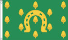 Rutland Flag