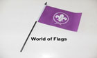 Boy Scout Hand Flag