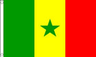 Senegal Flag World Cup Team