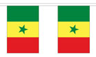Senegal Bunting 3m World Cup Team