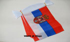 Serbia Bunting 3m World Cup Team