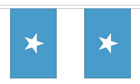 Somalia Bunting 3m