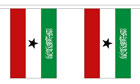 Somaliland Bunting 3m