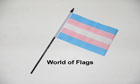 Transgender Hand Flag