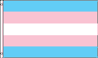 Transgender Flag Light Colours 