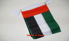 United Arab Emirates Bunting 3m