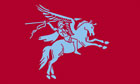 Pegasus UK Airborne Flag