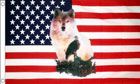 USA Wolf and Eagle Flag