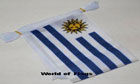 Uruguay Bunting 3m 