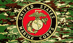 US Marine Corps Flag Camouflage Flag 