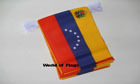 Venezuela Bunting 7 Stars 6m