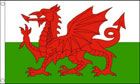 Wales Flag