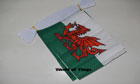 Wales Bunting 9m World Cup Team