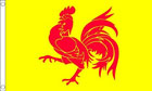 Wallonia Flag