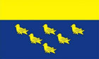 West Sussex Flag