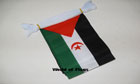 Western Sahara Bunting 3m