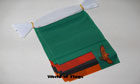 Zambia Bunting 6m