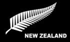 2ft by 3ft New Zealand Silver Fern Flag 