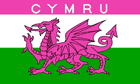 Pink Wales Flag