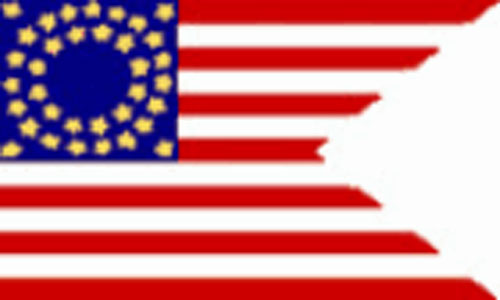 US Cavalry Flag
